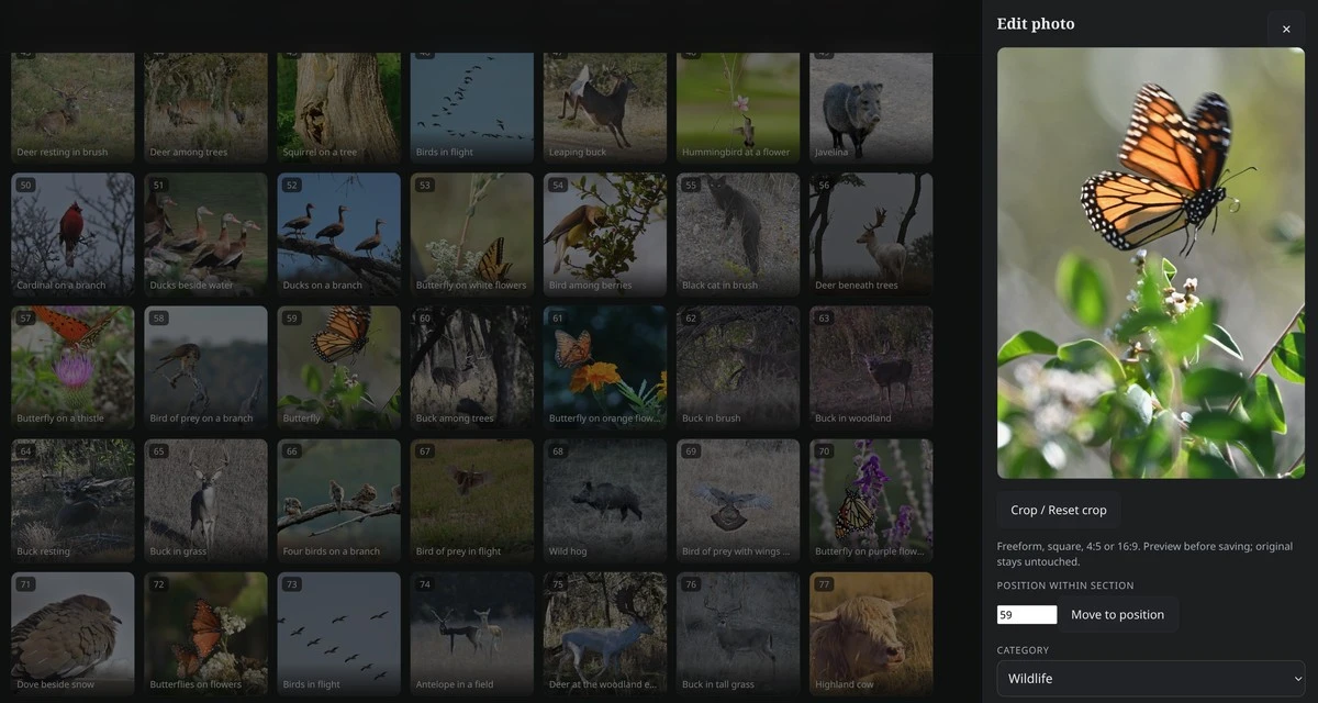 Wild Focus photo workspace showing Paul E. Stafford’s gallery and butterfly photo editor